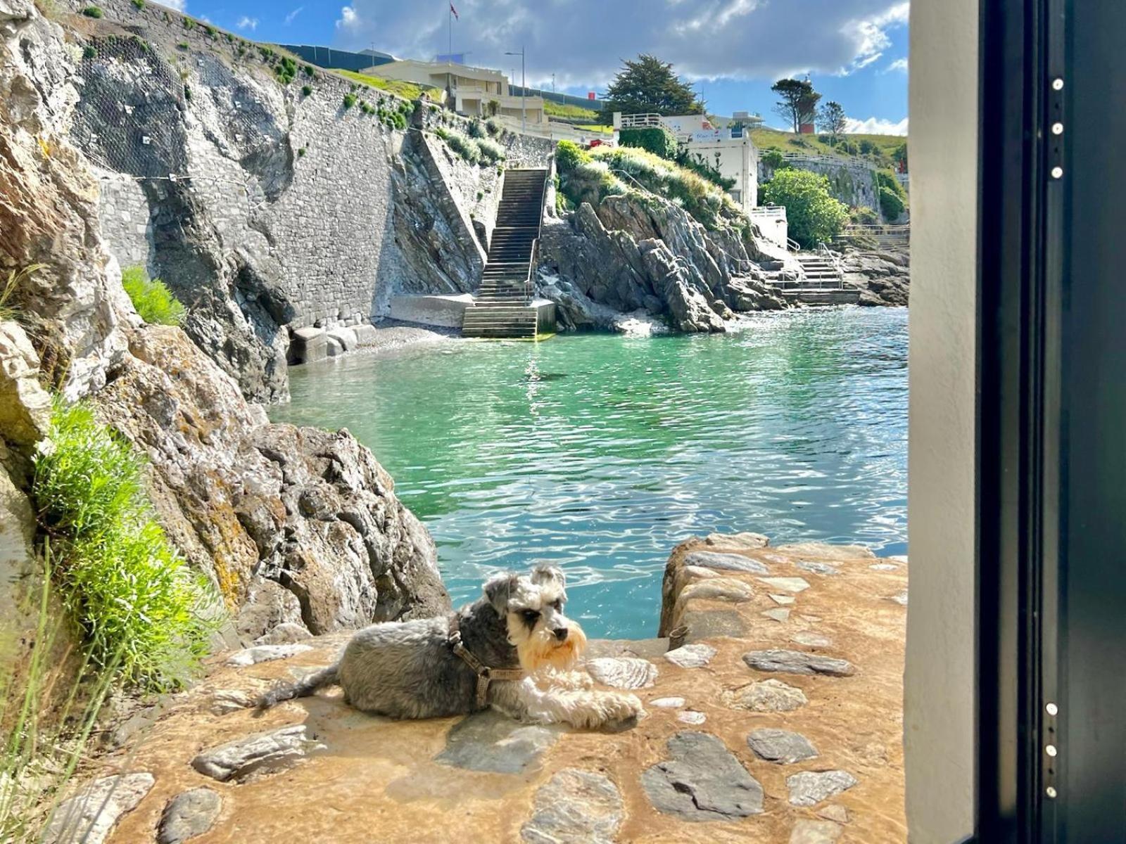 Rock Cottage プリマス エクステリア 写真